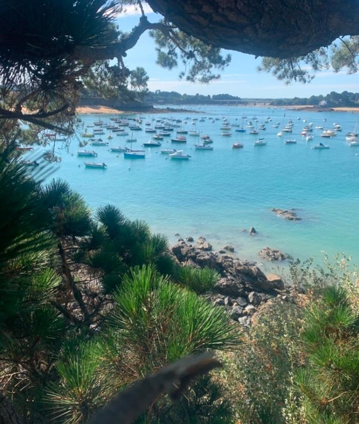 Magnifique Bas De Villa Deux Chambres Situe Pres Des Plages Et Du Golf Saint-Briac-sur-Mer Exteriör bild